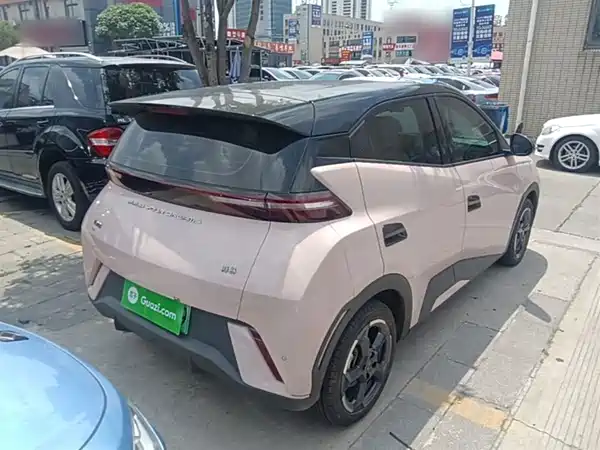 BYD Seagull 2024