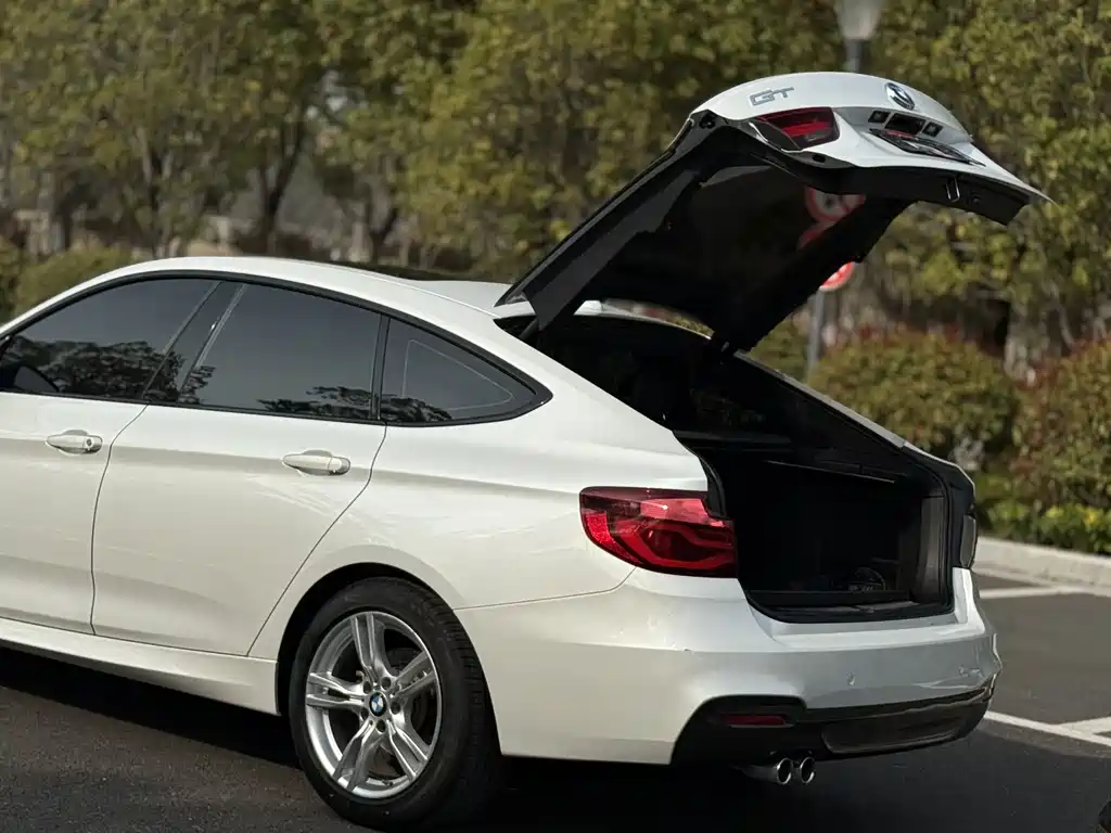 BMW 3 Series GT 2019 — фото 15