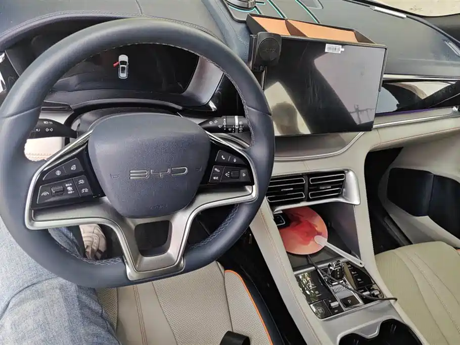 BYD PLUS New Energy 2024 — фото 12