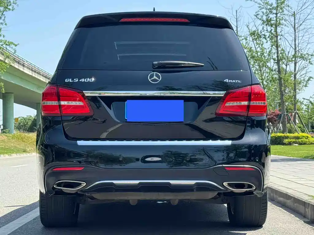 Mercedes-Benz GLS 2017 — фото 15