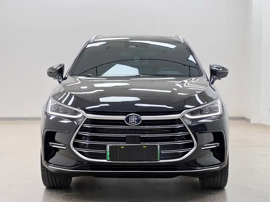 BYD Tang New Energy 2023 — фото 2
