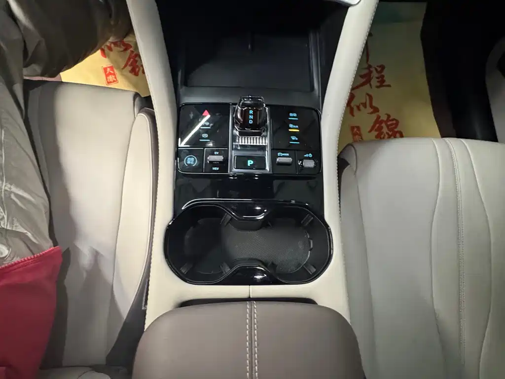 BYD PLUS New Energy 2025 — фото 11