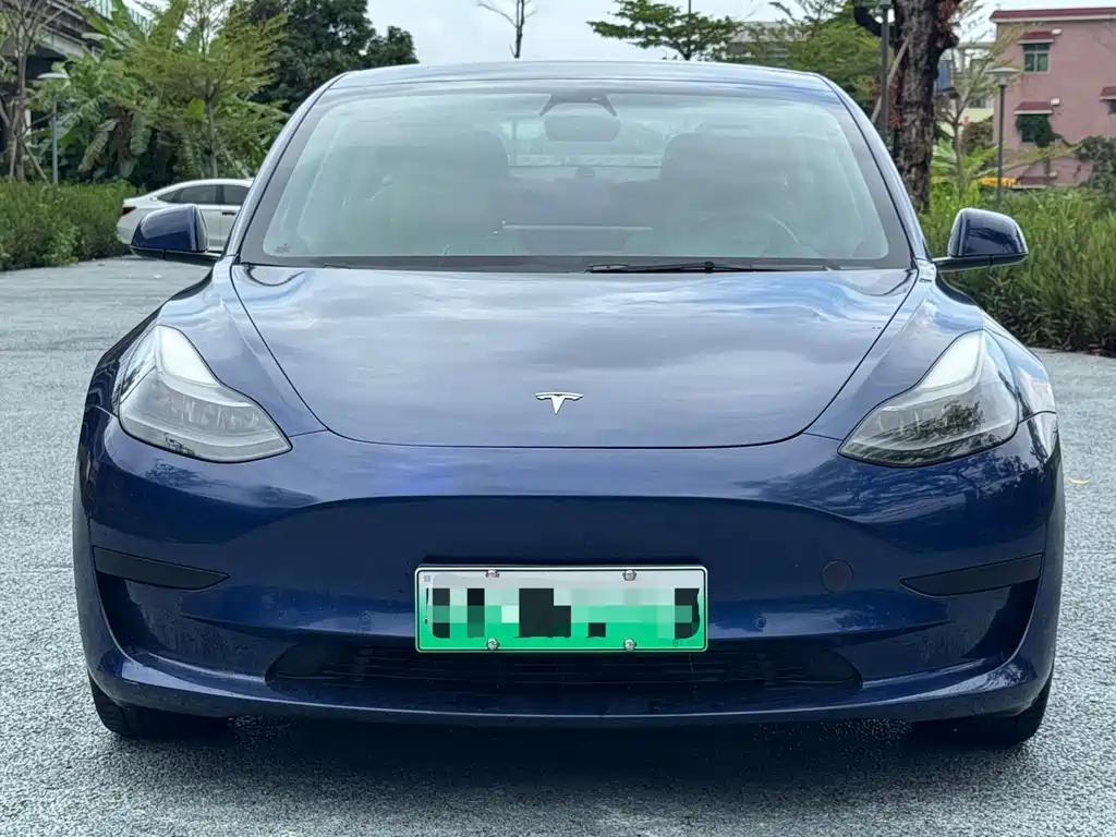 Tesla Model 3 2021 — фото 2