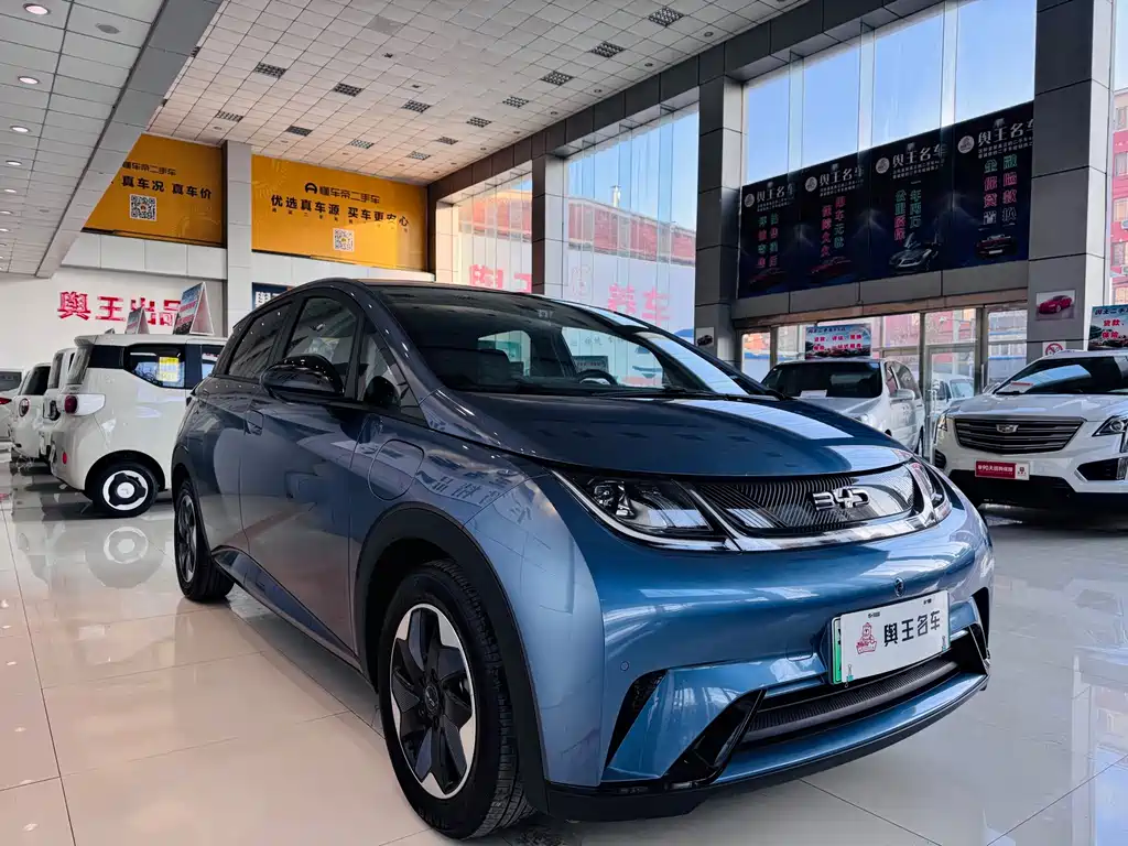 BYD Dolphin 2024
