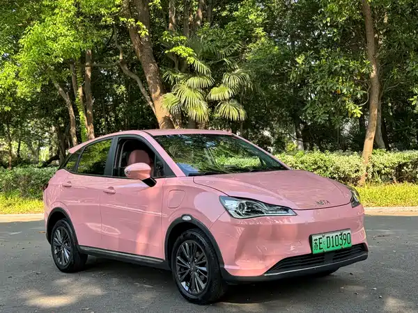 Neta V 2022
