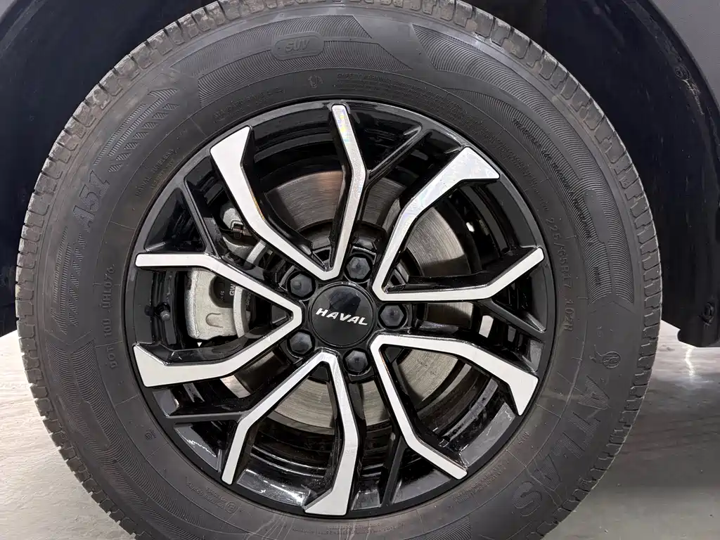 Haval H6 2023 — фото 19