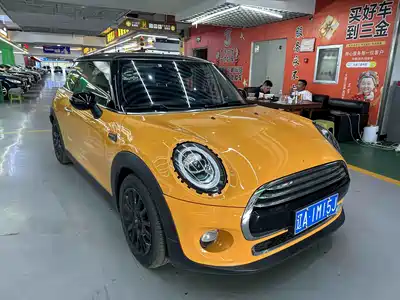 MINI MINI 2017