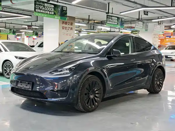Tesla Model Y 2024