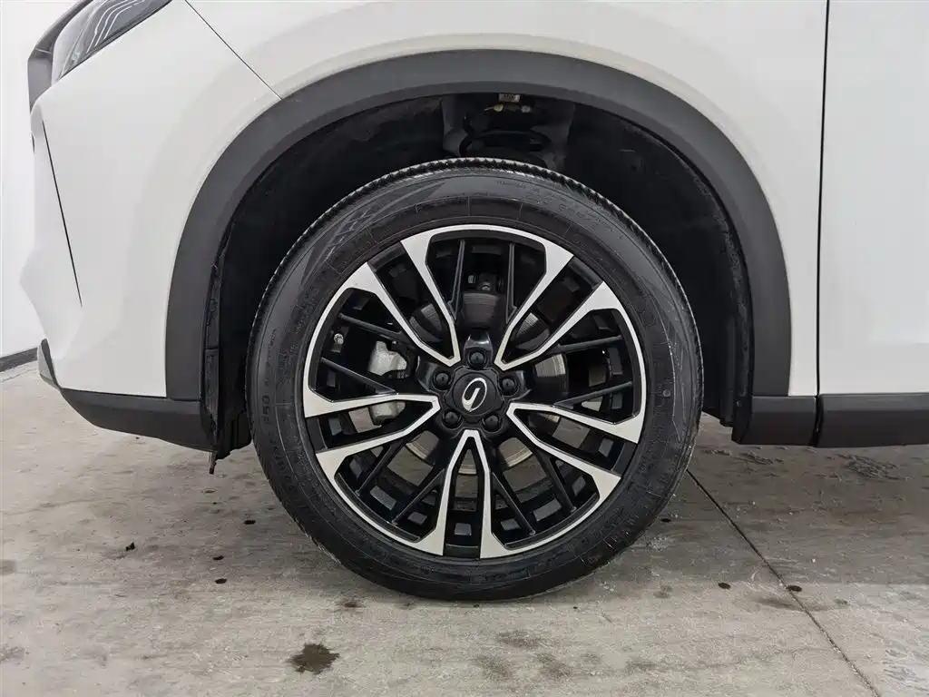 GAC Motor GS4 Plus 2023 — фото 17