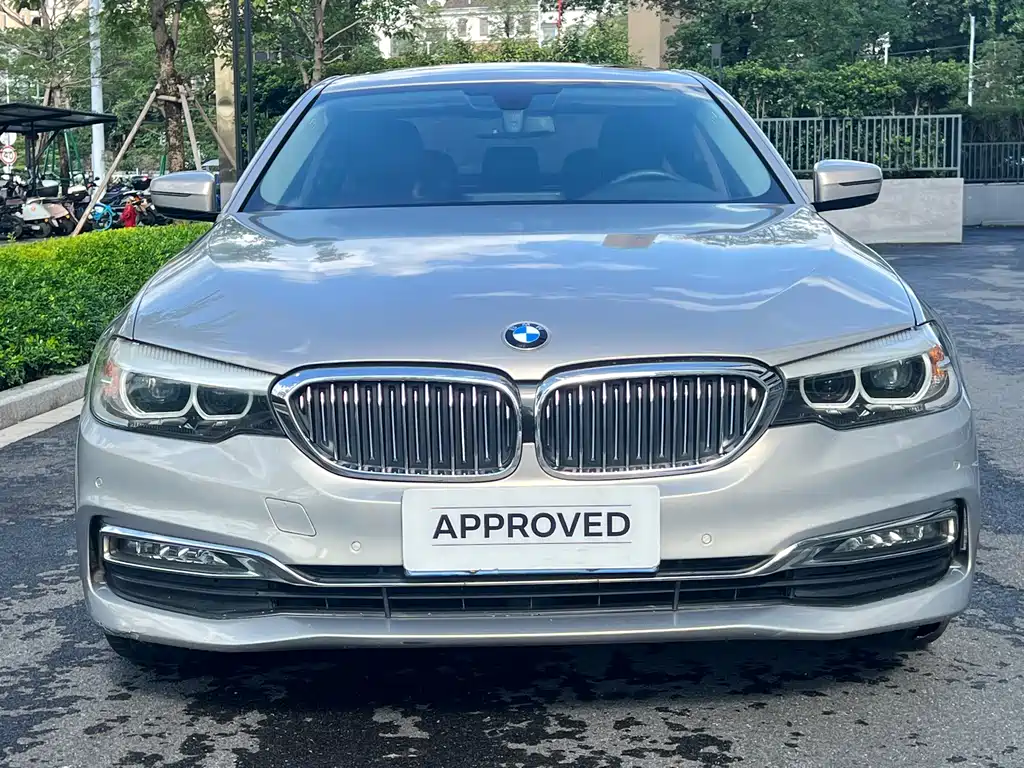 BMW 5 Series 2017 — фото 3