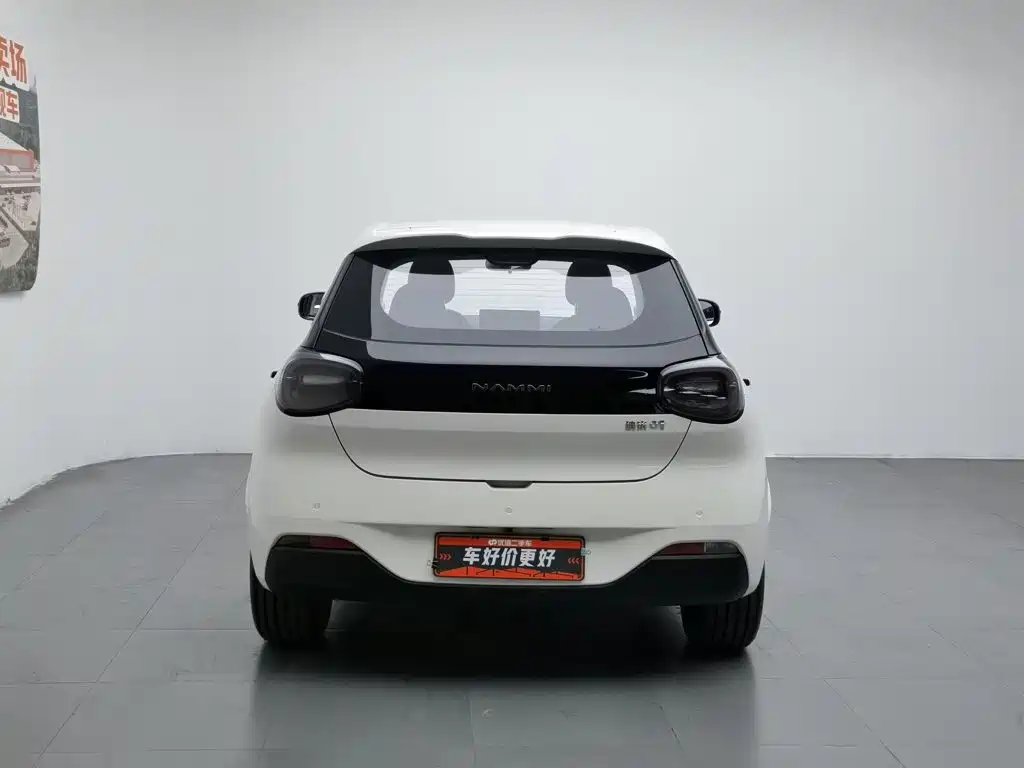 Dongfeng Nano 01 2024