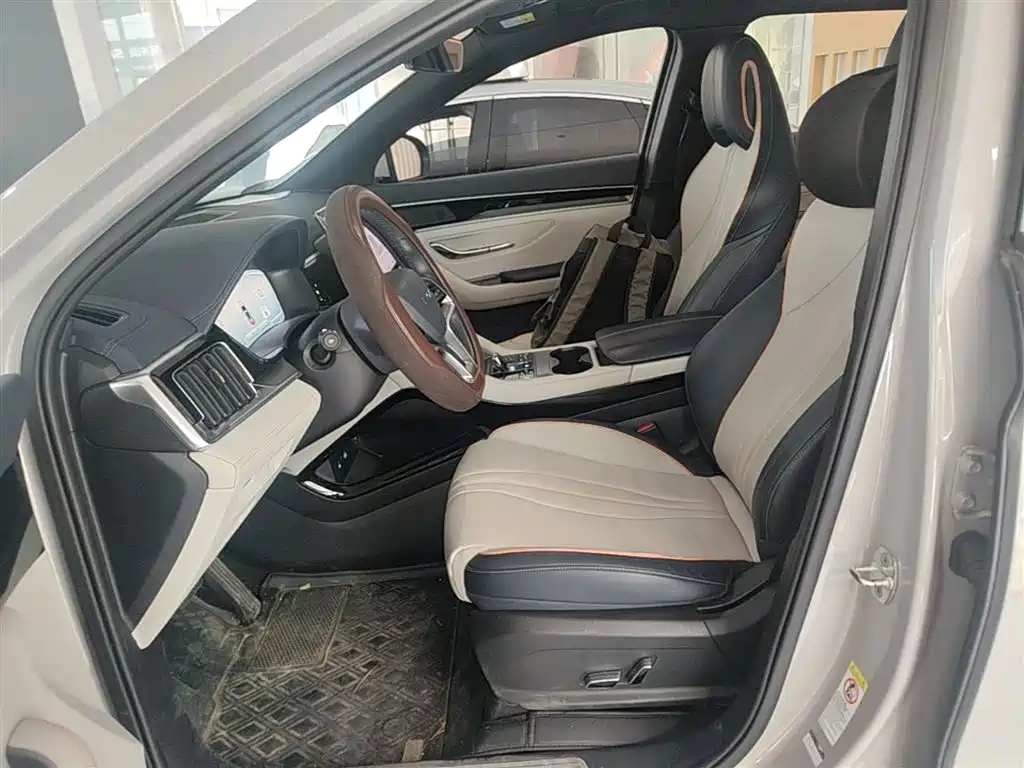 BYD PLUS New Energy 2024 — фото 15