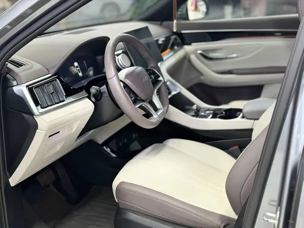 BYD Song PLUS New Energy 2024 — фото 4