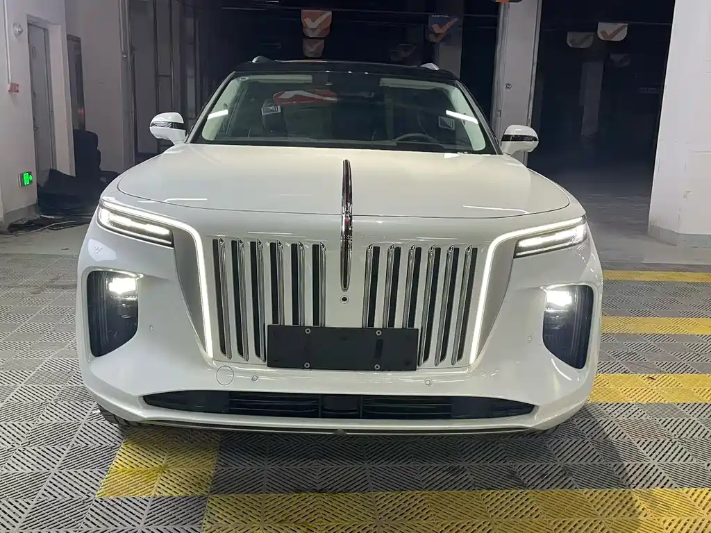 Hongqi E-HS9 2021