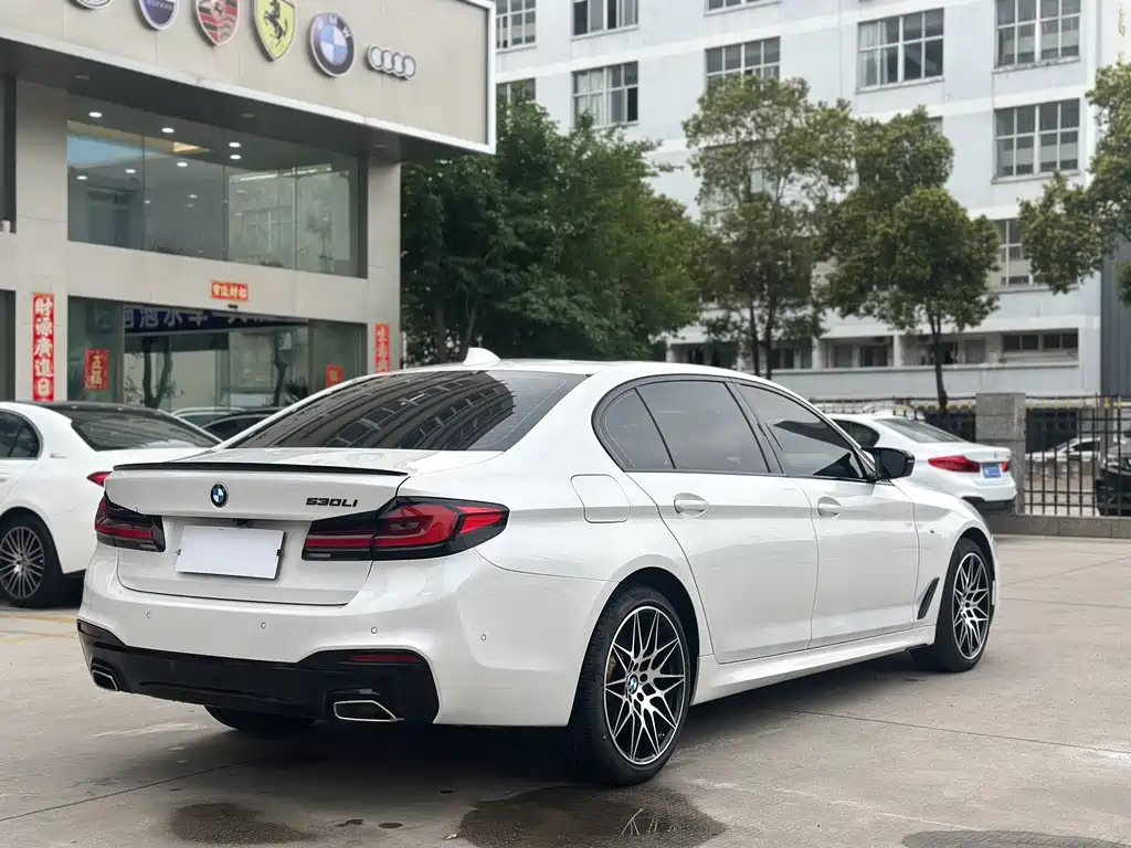 BMW 5 Series 2019 — фото 6