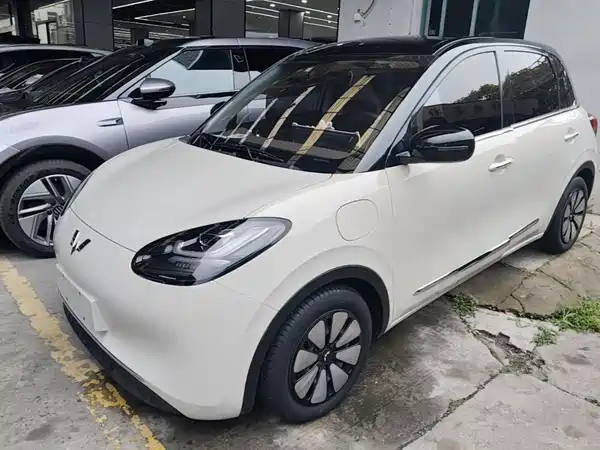 Wuling Bingo 2024