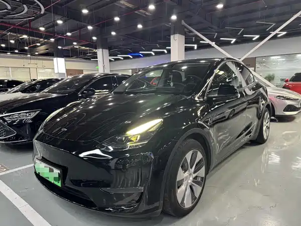 Tesla Model Y 2021