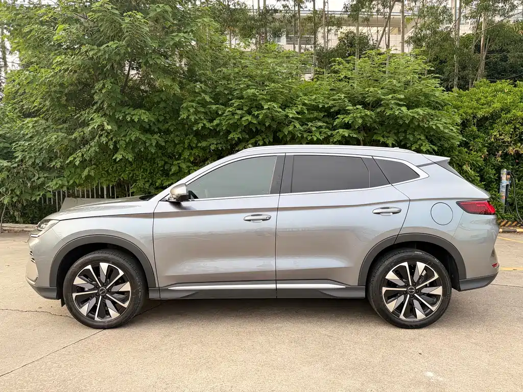 BYD Song PLUS New Energy 2025 — фото 7