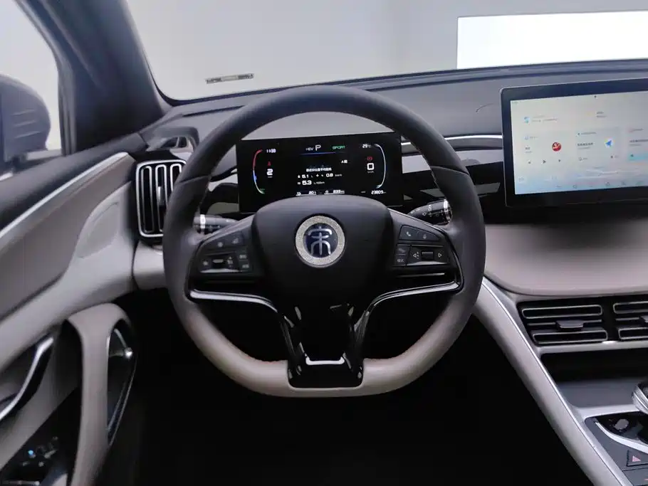 BYD Song Pro New Energy 2024 — фото 15
