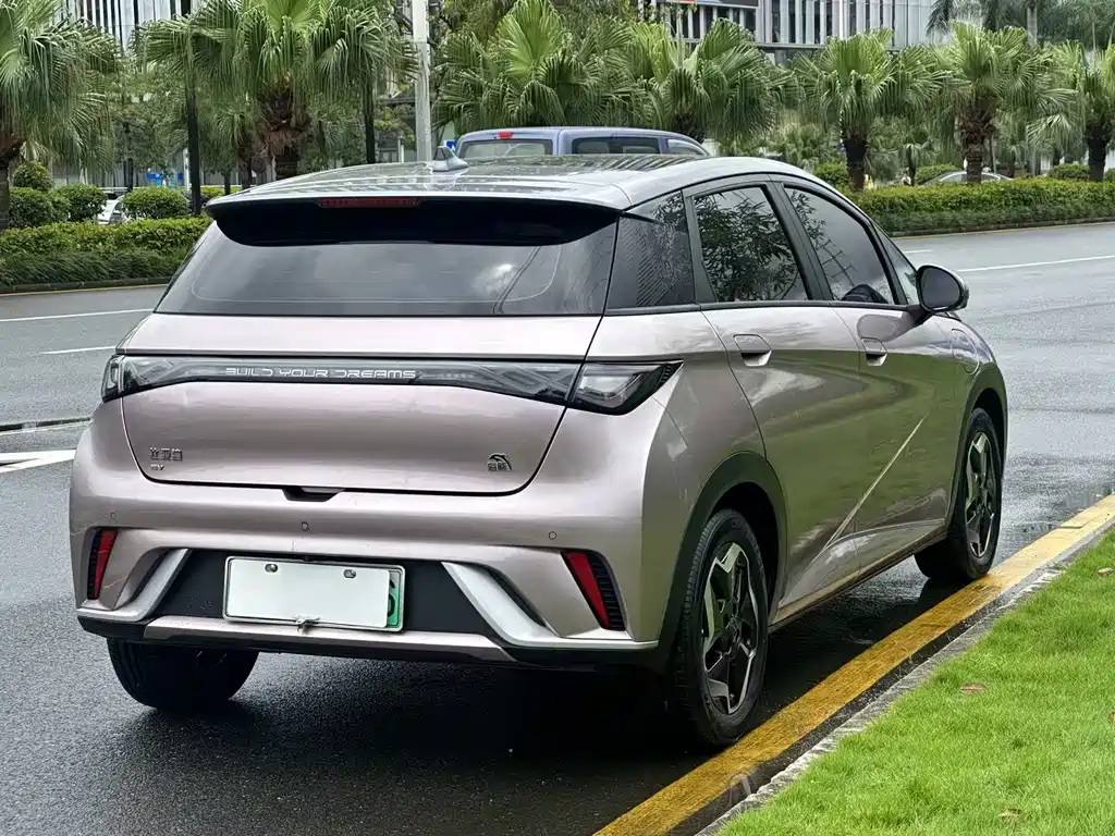 BYD Dolphin 2022