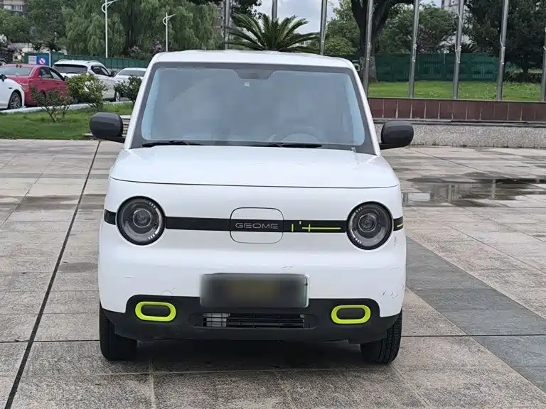 Geely Galaxy Panda 2025 — фото 19