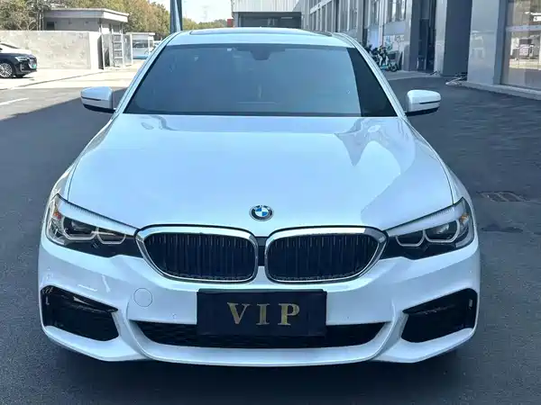 BMW 5 Series 2019