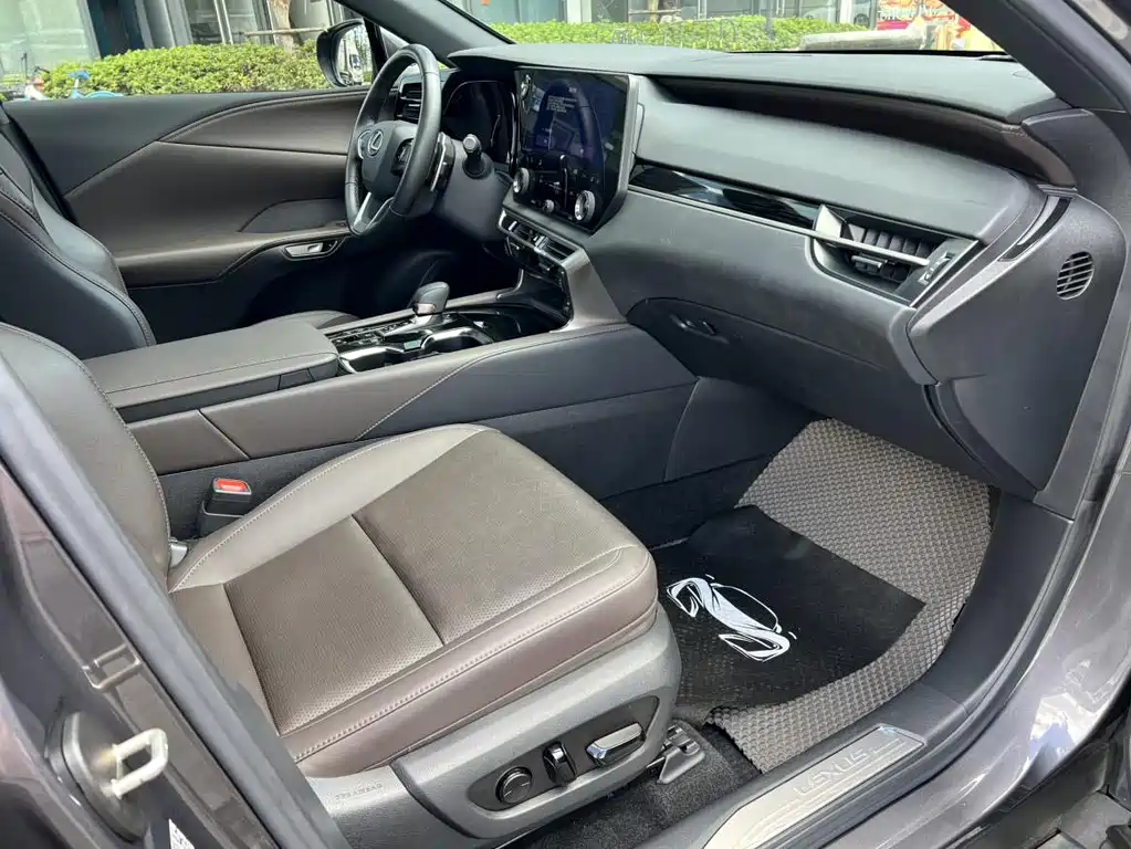 Lexus RX New Energy 2023 — фото 11