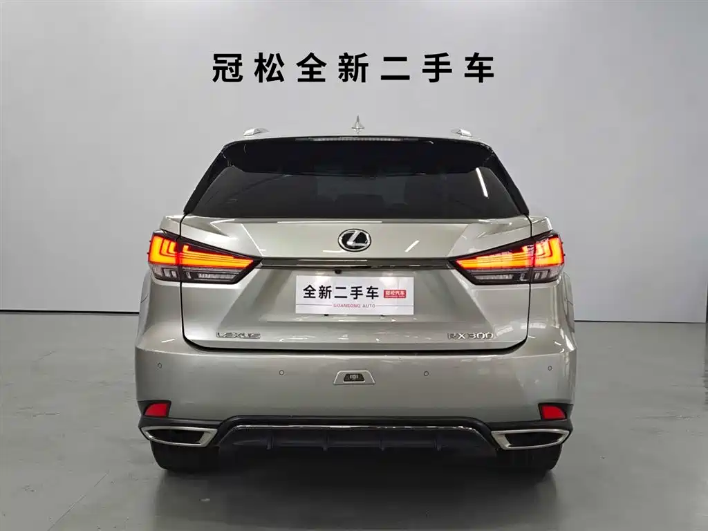 Lexus RX 2020 — фото 5