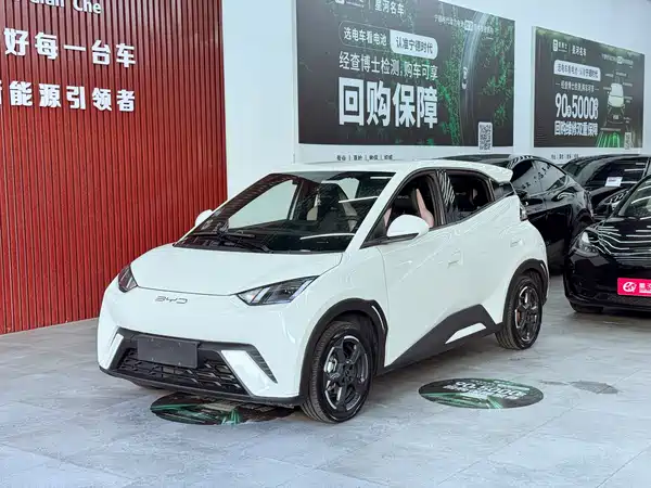 BYD Seagull 2024