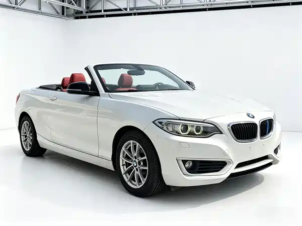 BMW 2 Series 2017