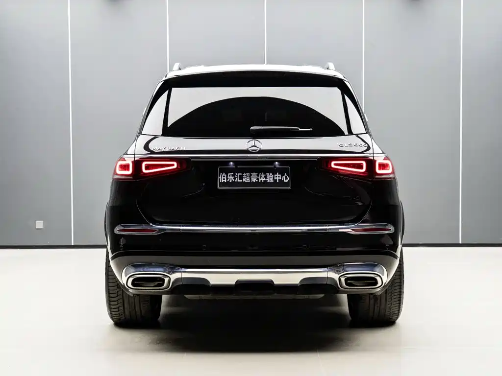 Mercedes-Benz Maybach GLS 2022 — фото 6
