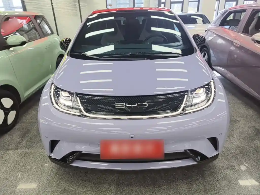BYD Dolphin 2024
