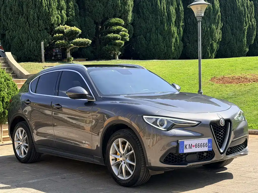 Alfa Romeo Stelvio 2020 — фото 3