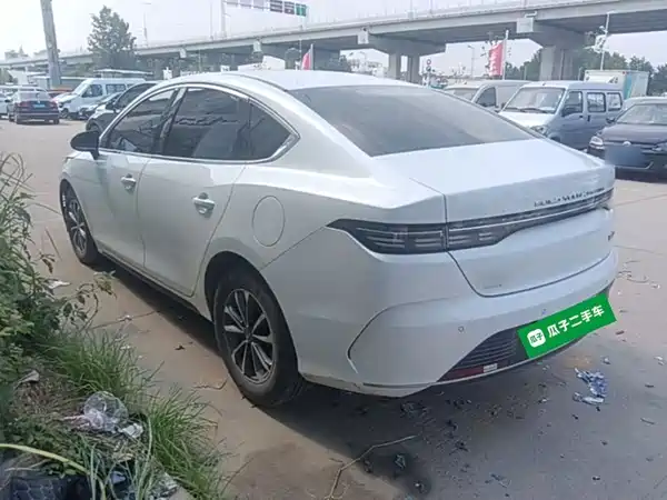 BYD Destroyer 05 2024