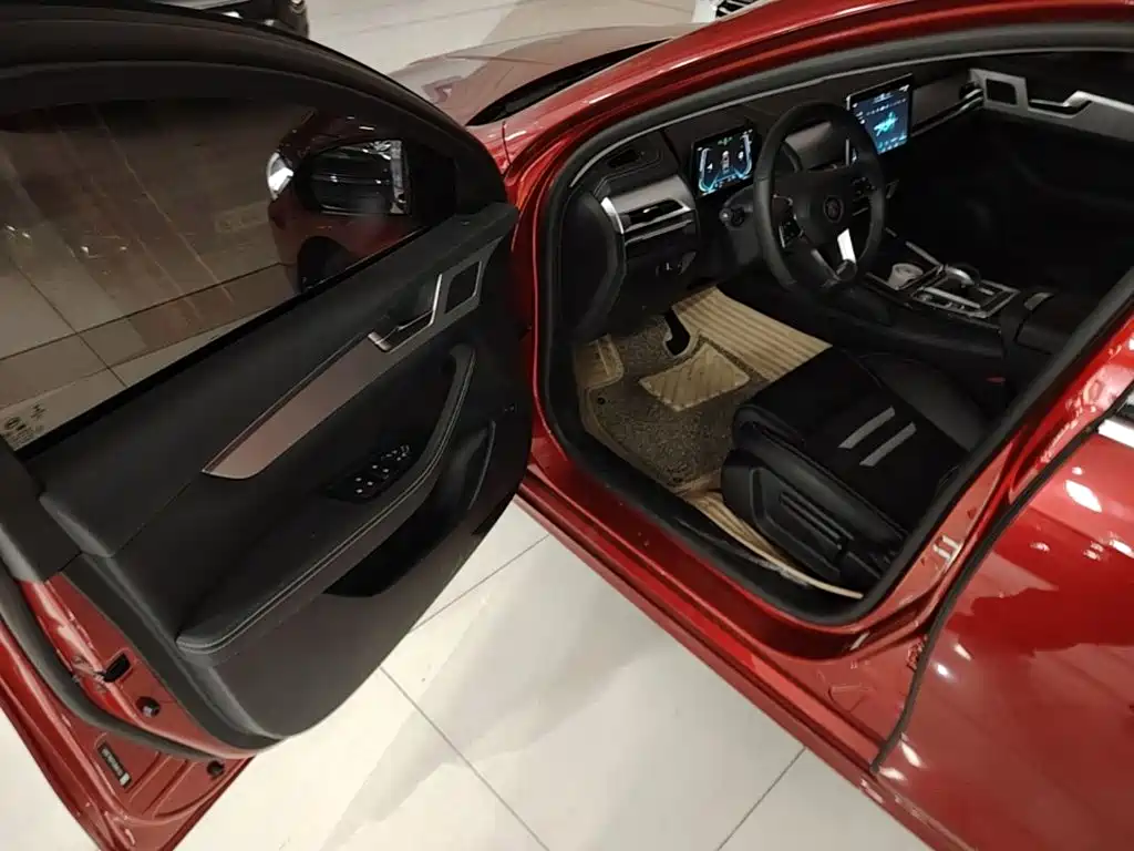 BYD Qin Pro New Energy 2020 — фото 16
