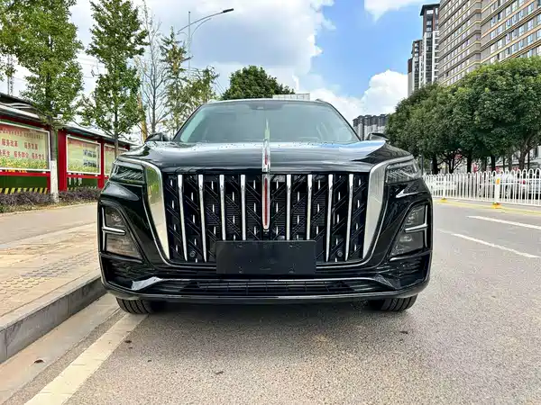 Hongqi HS5 2024