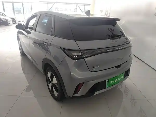 BYD Dolphin 2024