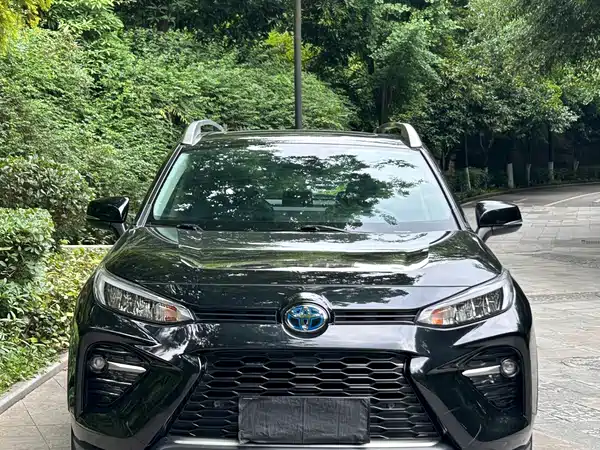 Toyota Wildlander 2021