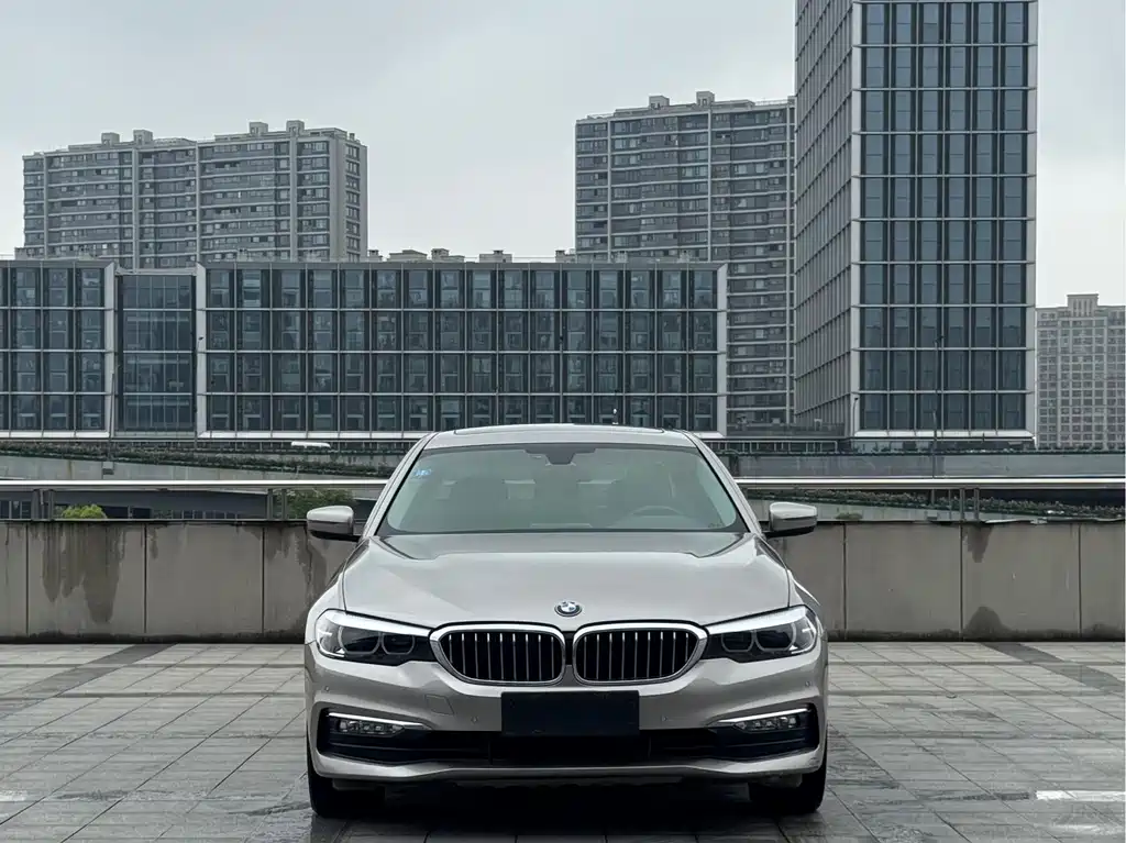BMW 5 Series 2017 — фото 2