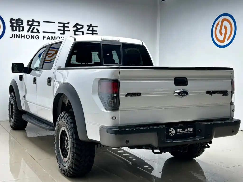 Ford F-150 Raptor 2015 — фото 26