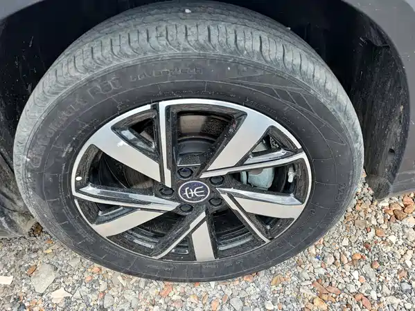 BYD Song Pro New Energy 2024