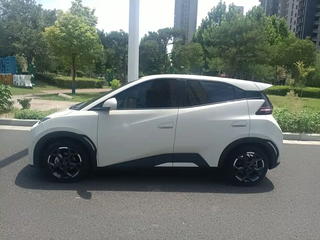 BYD Seagull 2024