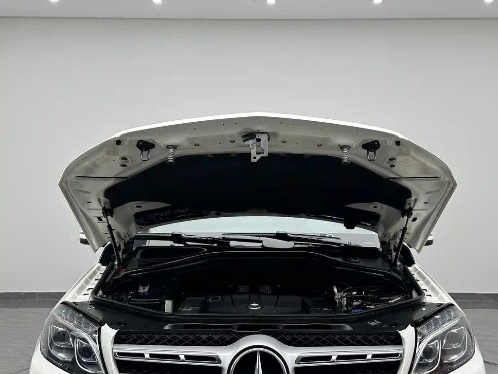 Mercedes-Benz GLS 2016 — фото 27