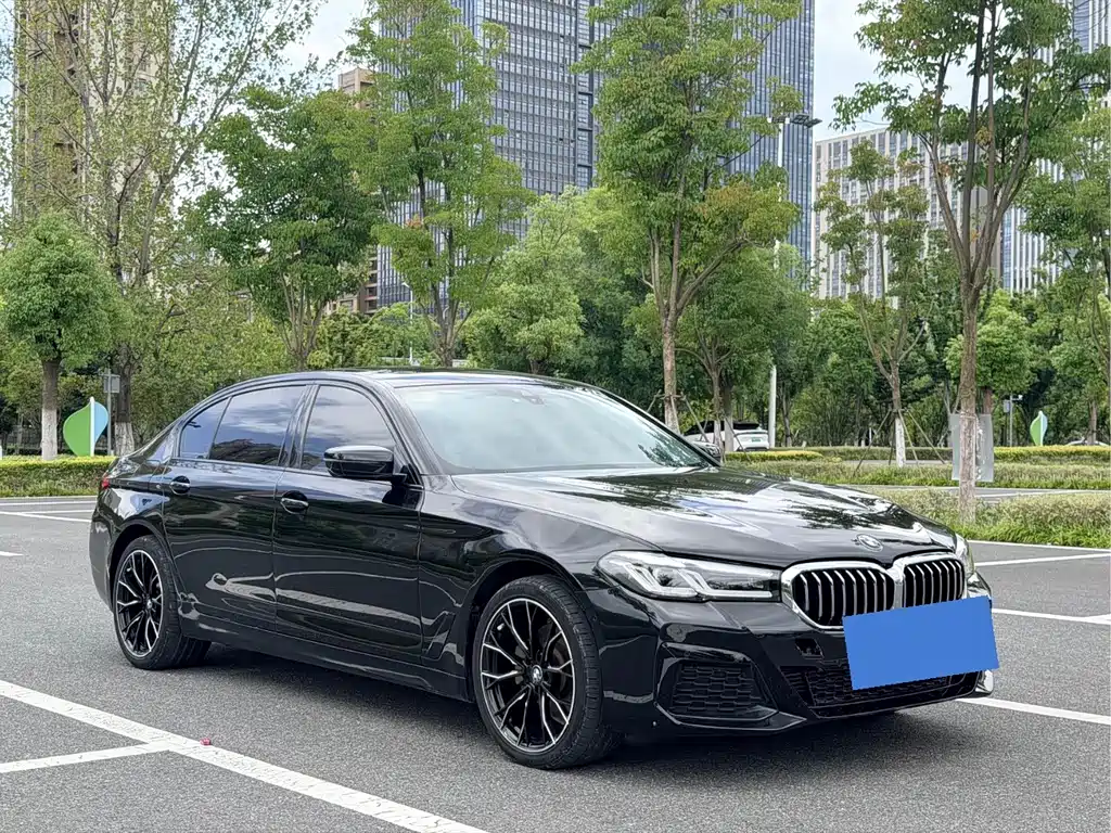 BMW 5 Series 2021