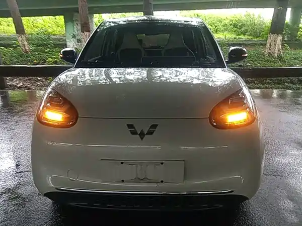 Wuling Bingo 2024