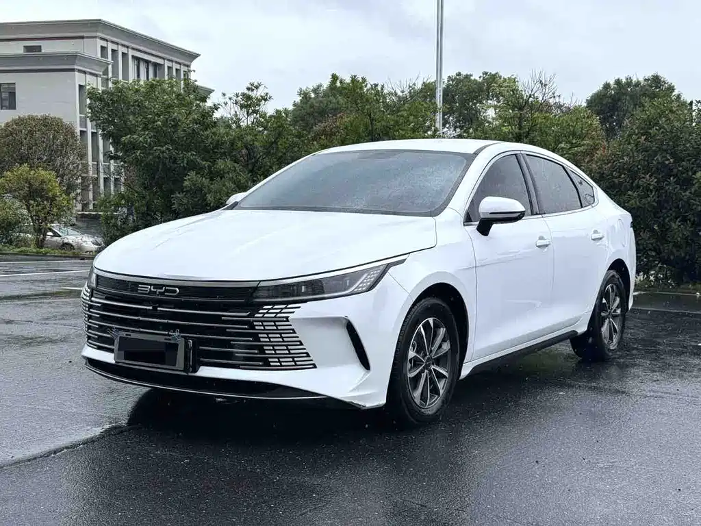 BYD Destroyer 05 2024 — фото 1
