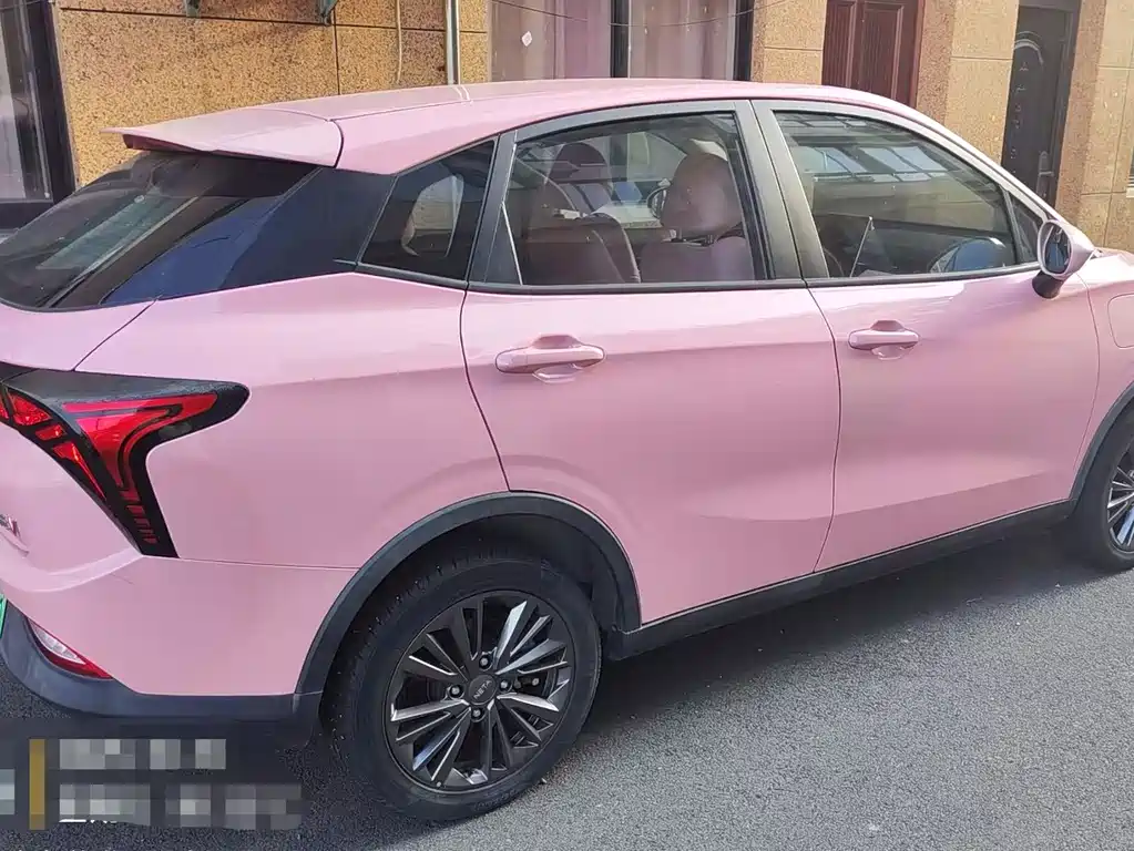 Neta V 2021