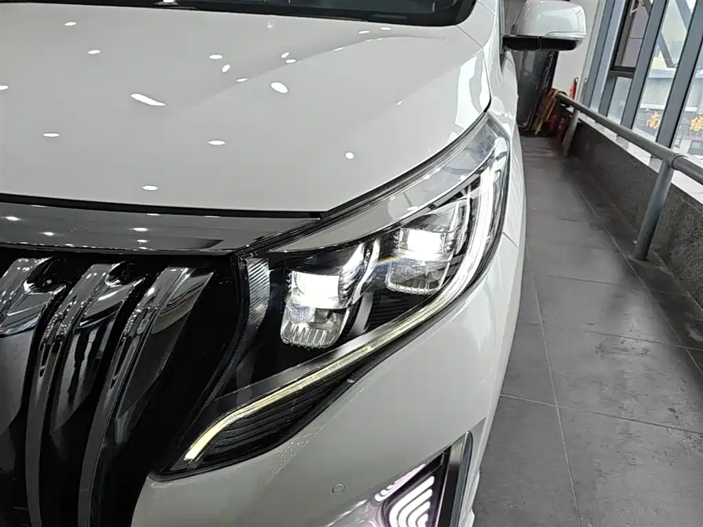 GAC Motor Trumpchi M8 2021 — фото 24