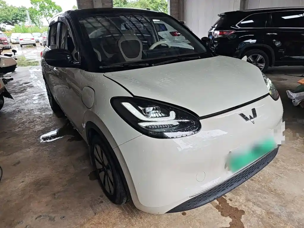 Wuling Bingo 2024