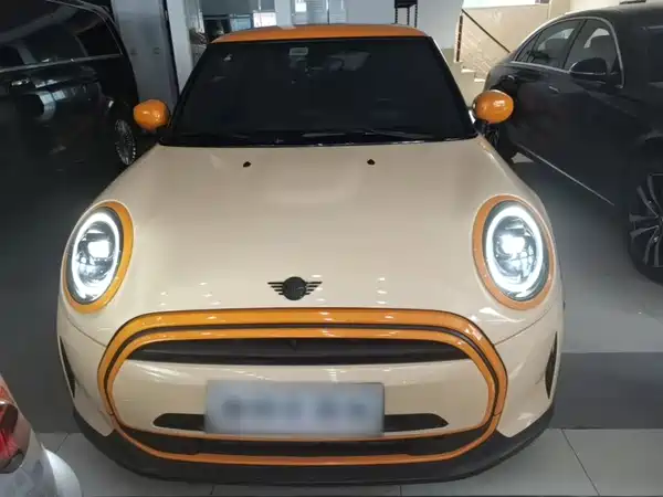 MINI MINI 2024